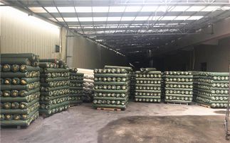 格利特新風尚 創坤金蔥粉皮革聯營百家革廠，點亮文藝創作之路